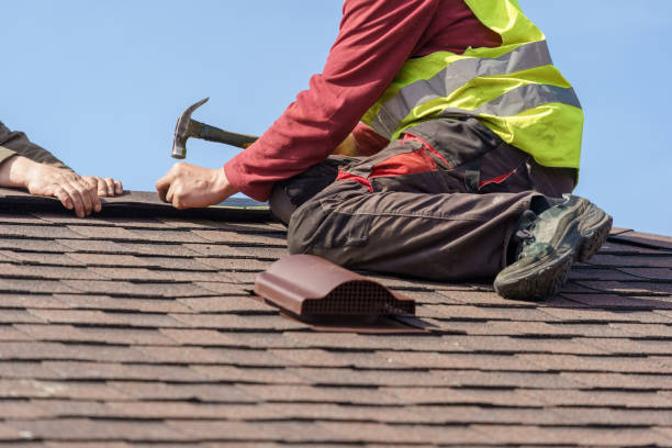 Best Roof Gutter Cleaning  in Leitchfield, KY